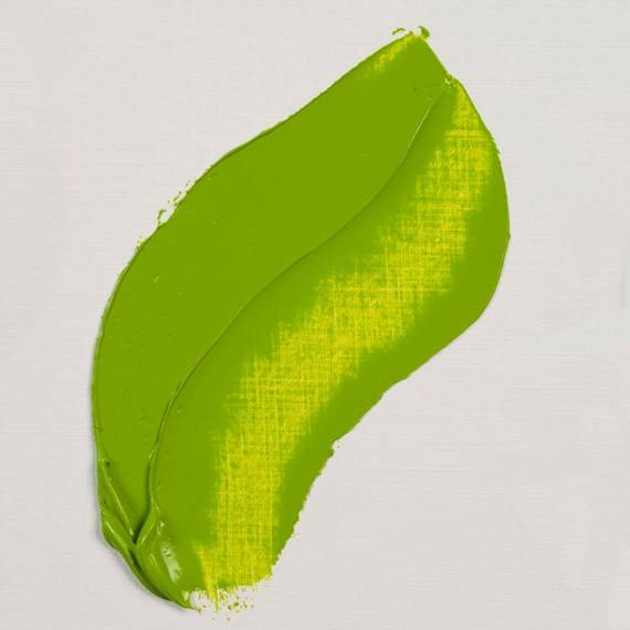 Olejové barvy Rembrandt 40ml - Série 3: Permanent Yellowish green 633